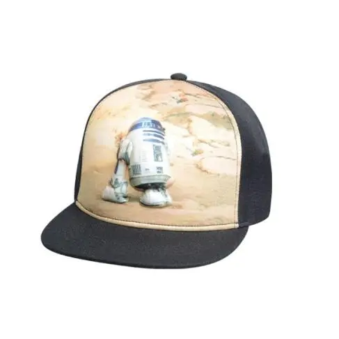 snapback hats (11).jpg