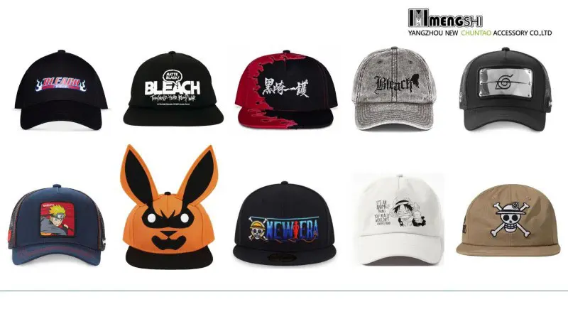 licensed hat 2024.11